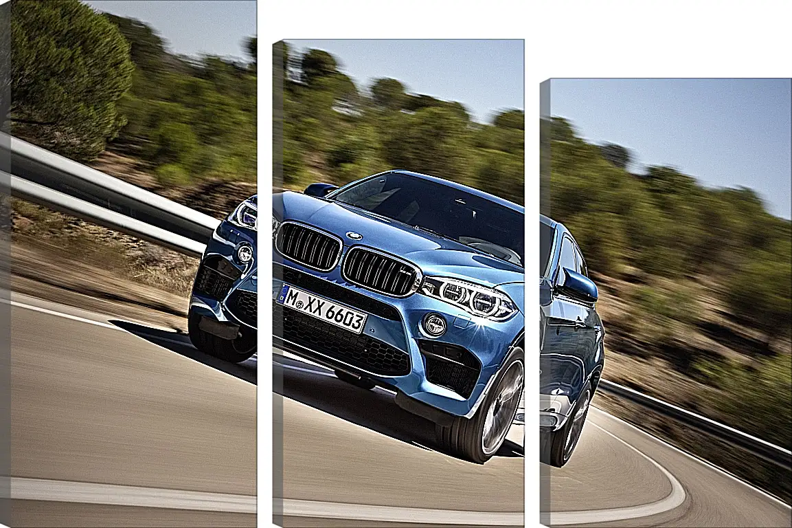 Модульная картина - BMW X6 M