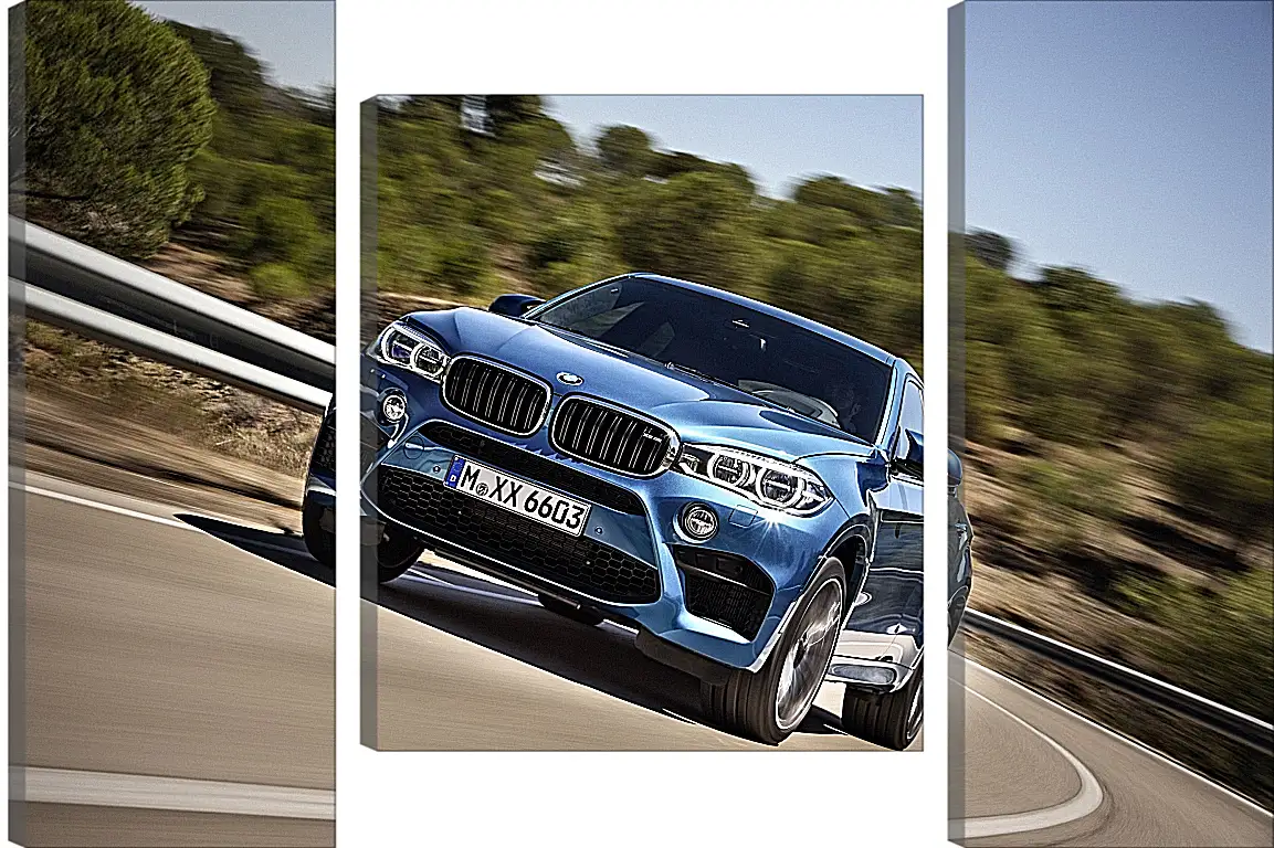 Модульная картина - BMW X6 M