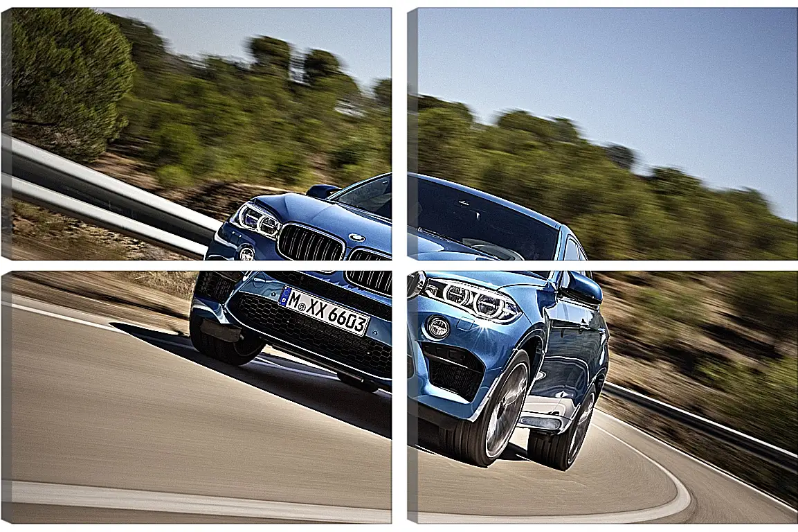 Модульная картина - BMW X6 M