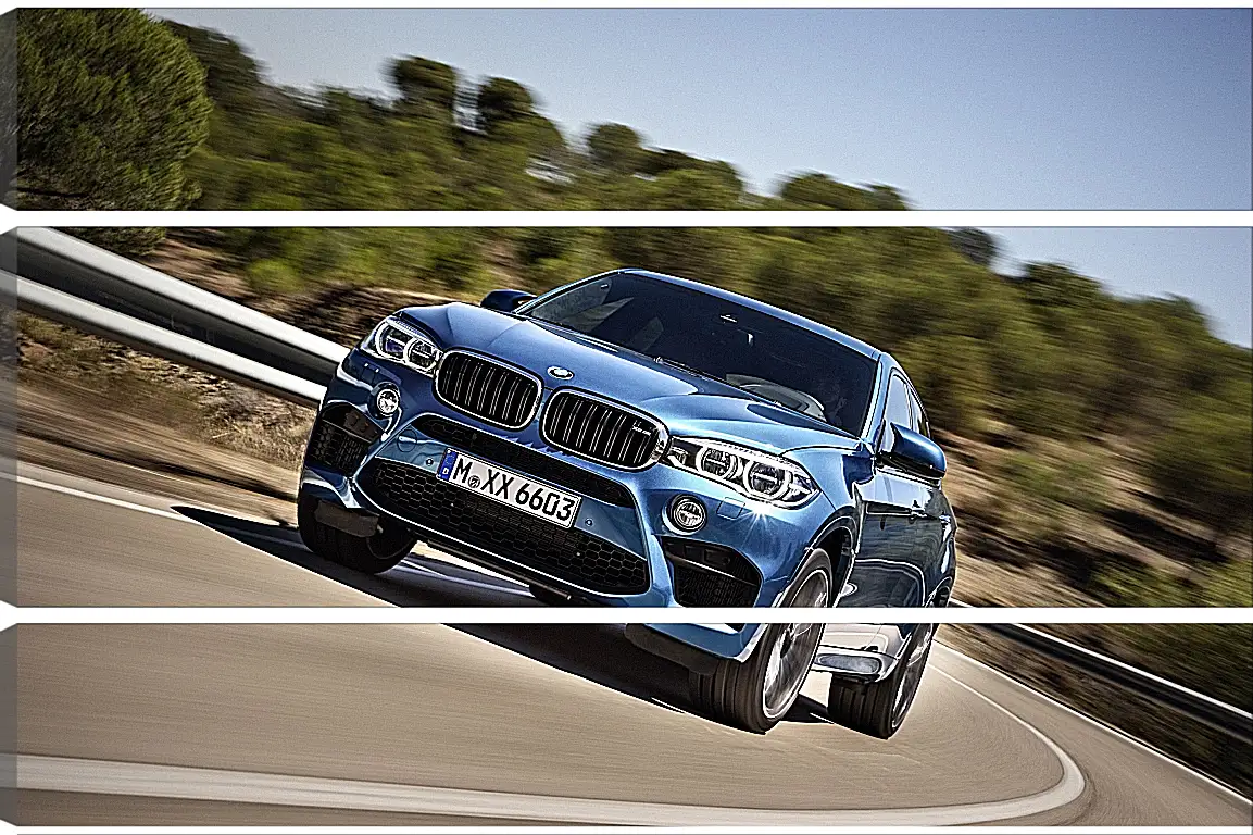 Модульная картина - BMW X6 M