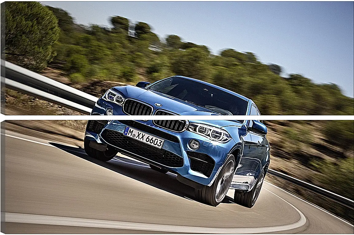 Модульная картина - BMW X6 M