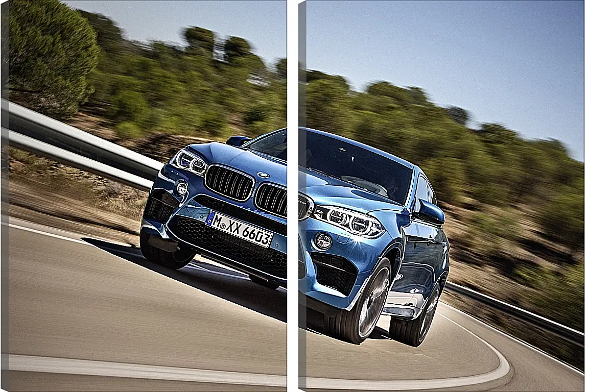 Модульная картина - BMW X6 M