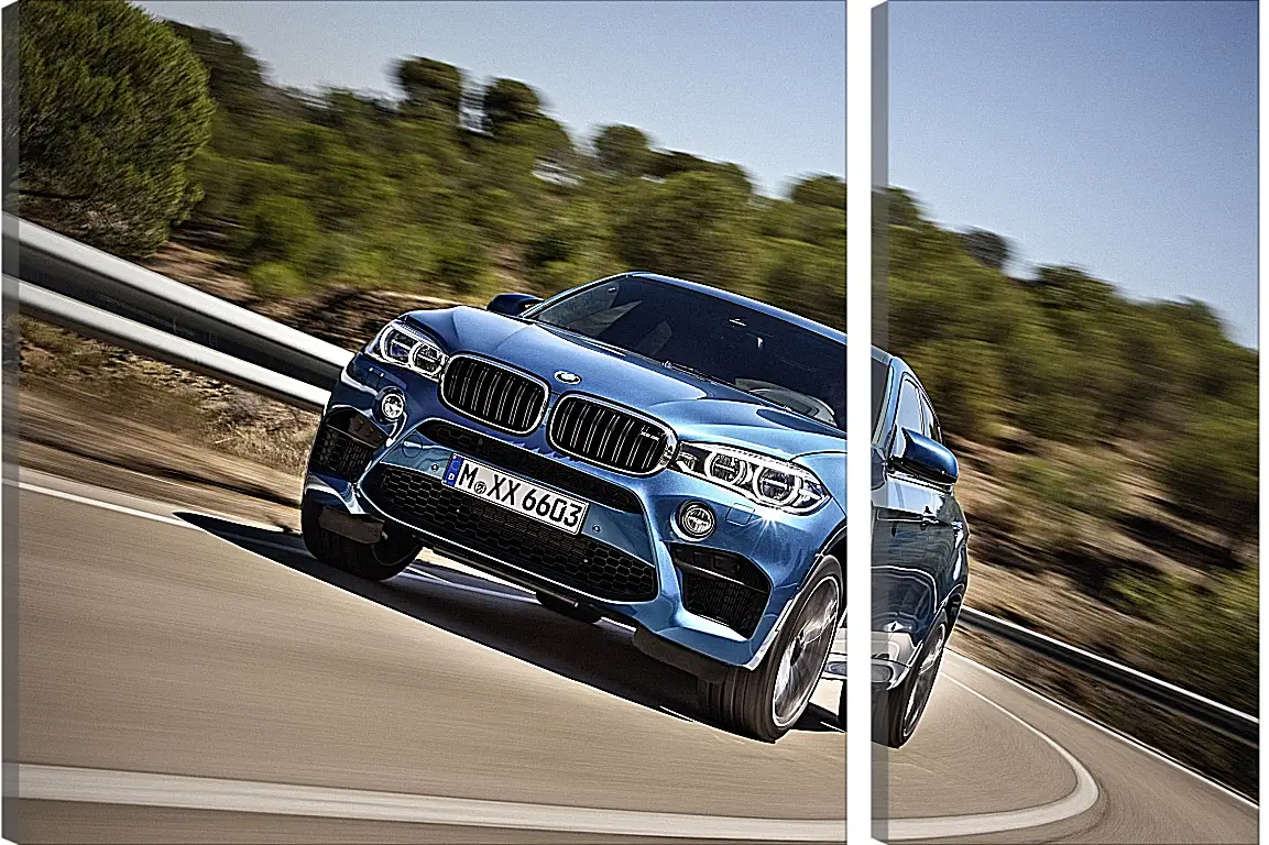 Модульная картина - BMW X6 M