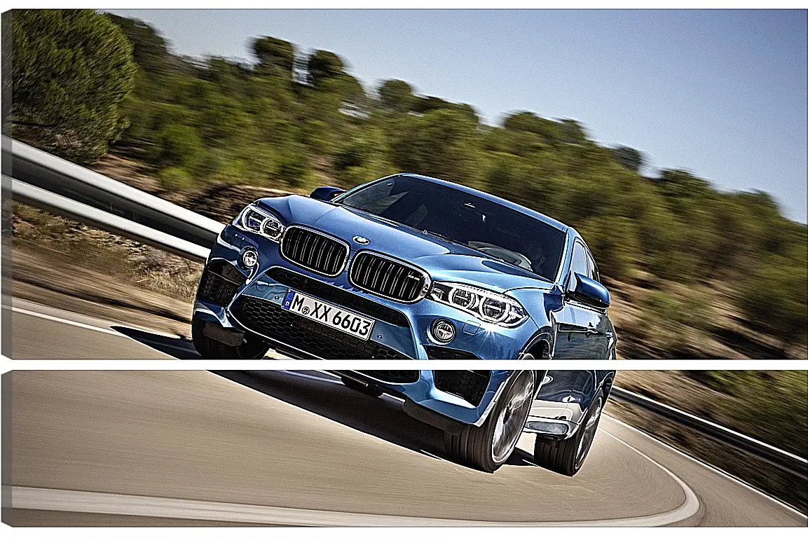 Модульная картина - BMW X6 M