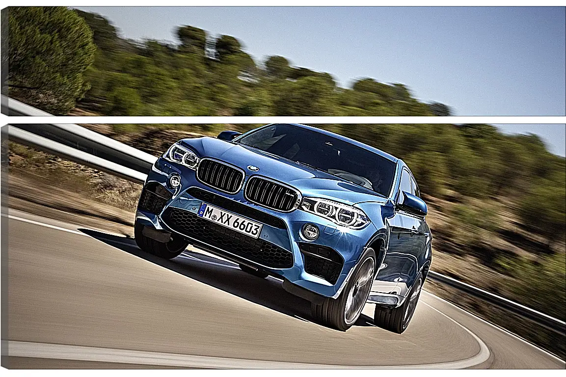 Модульная картина - BMW X6 M