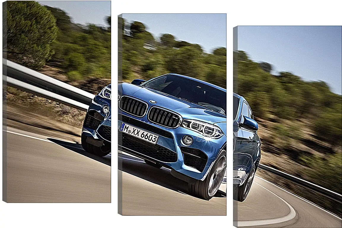 Модульная картина - BMW X6 M