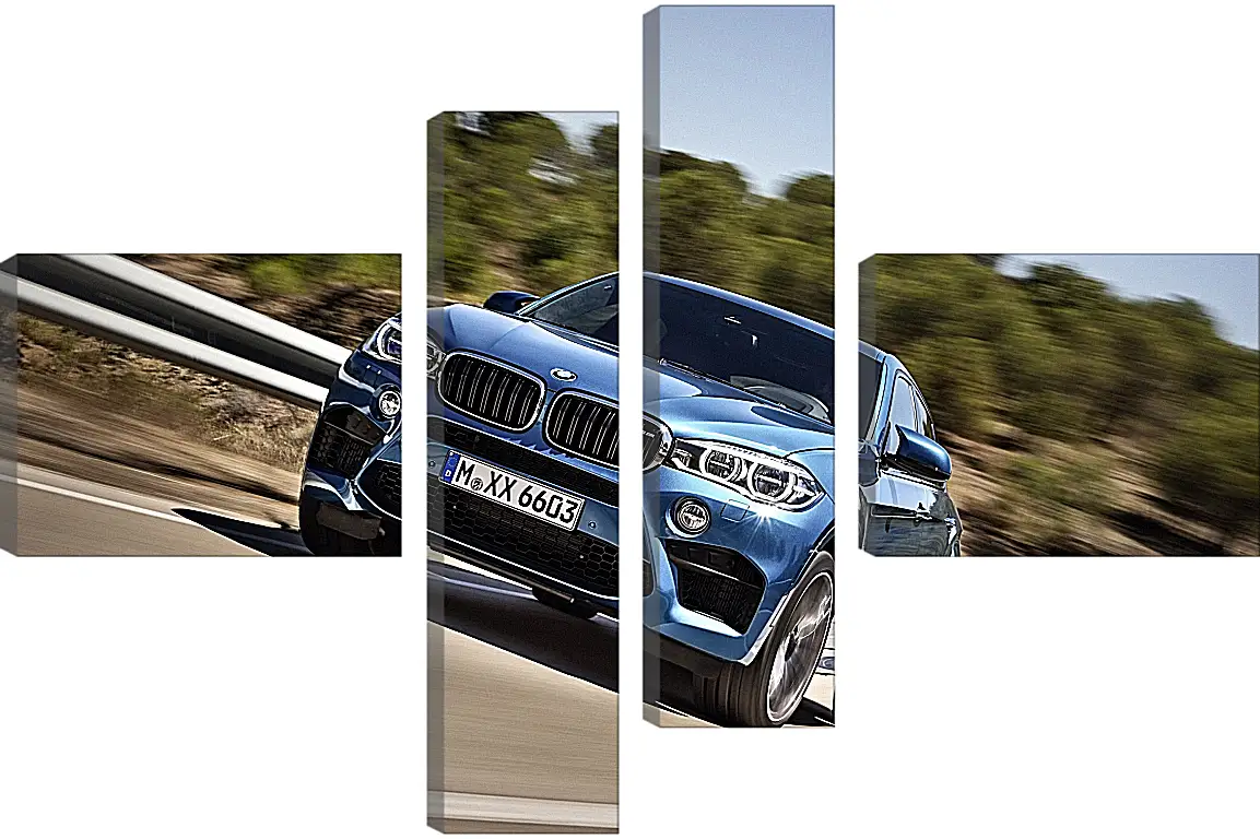 Модульная картина - BMW X6 M