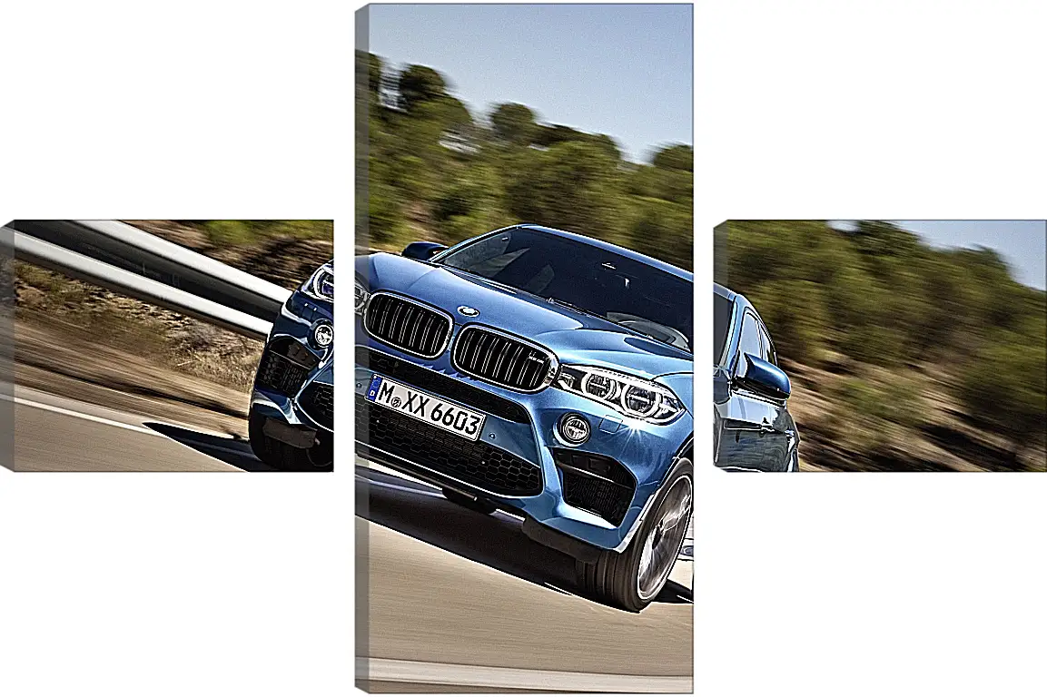 Модульная картина - BMW X6 M