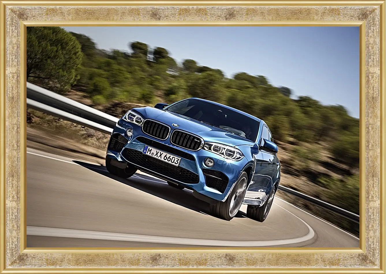 Картина в раме - BMW X6 M