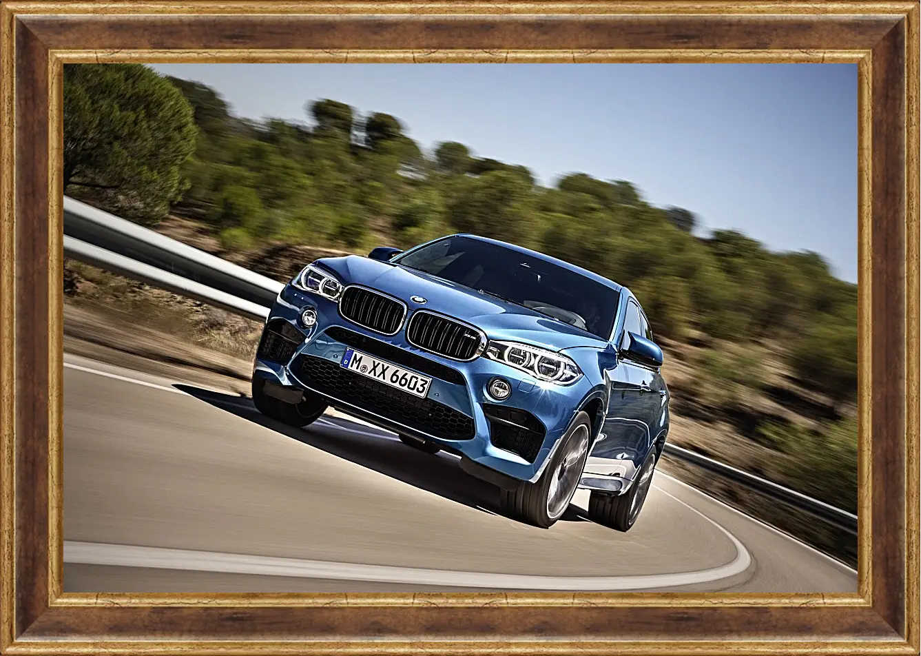 Картина в раме - BMW X6 M