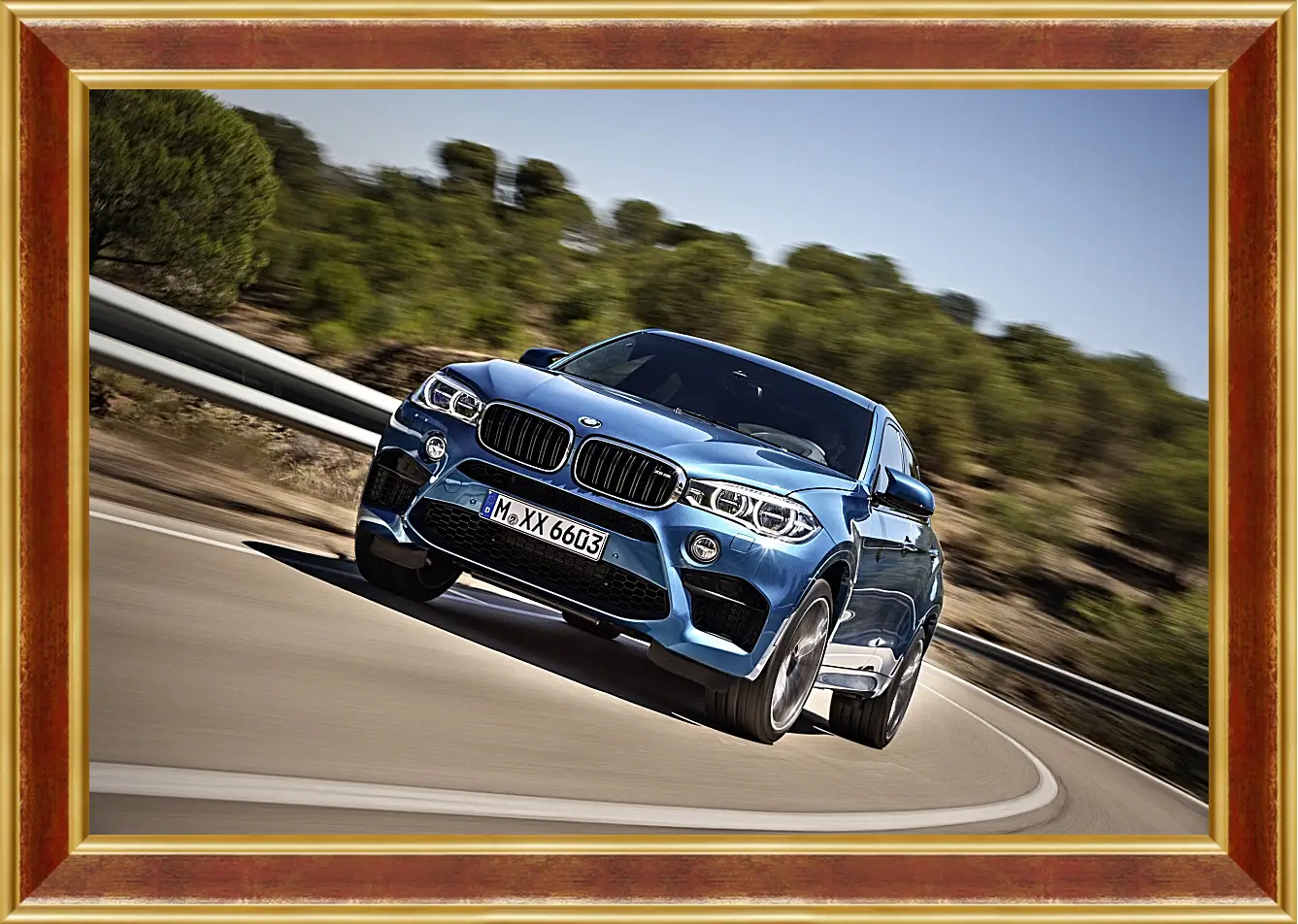 Картина в раме - BMW X6 M