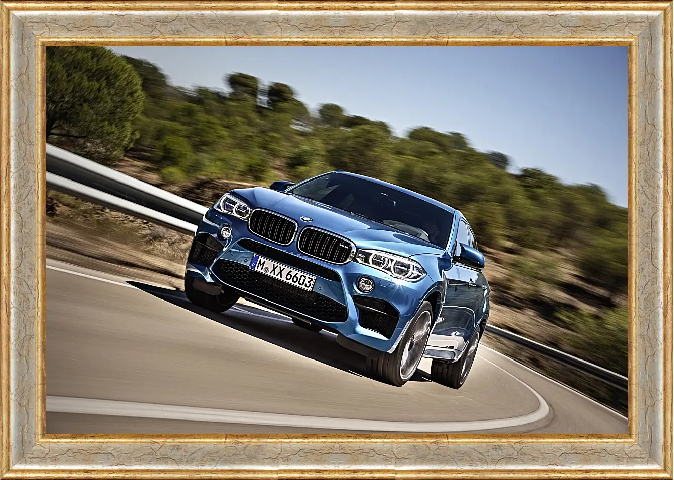 Картина в раме - BMW X6 M