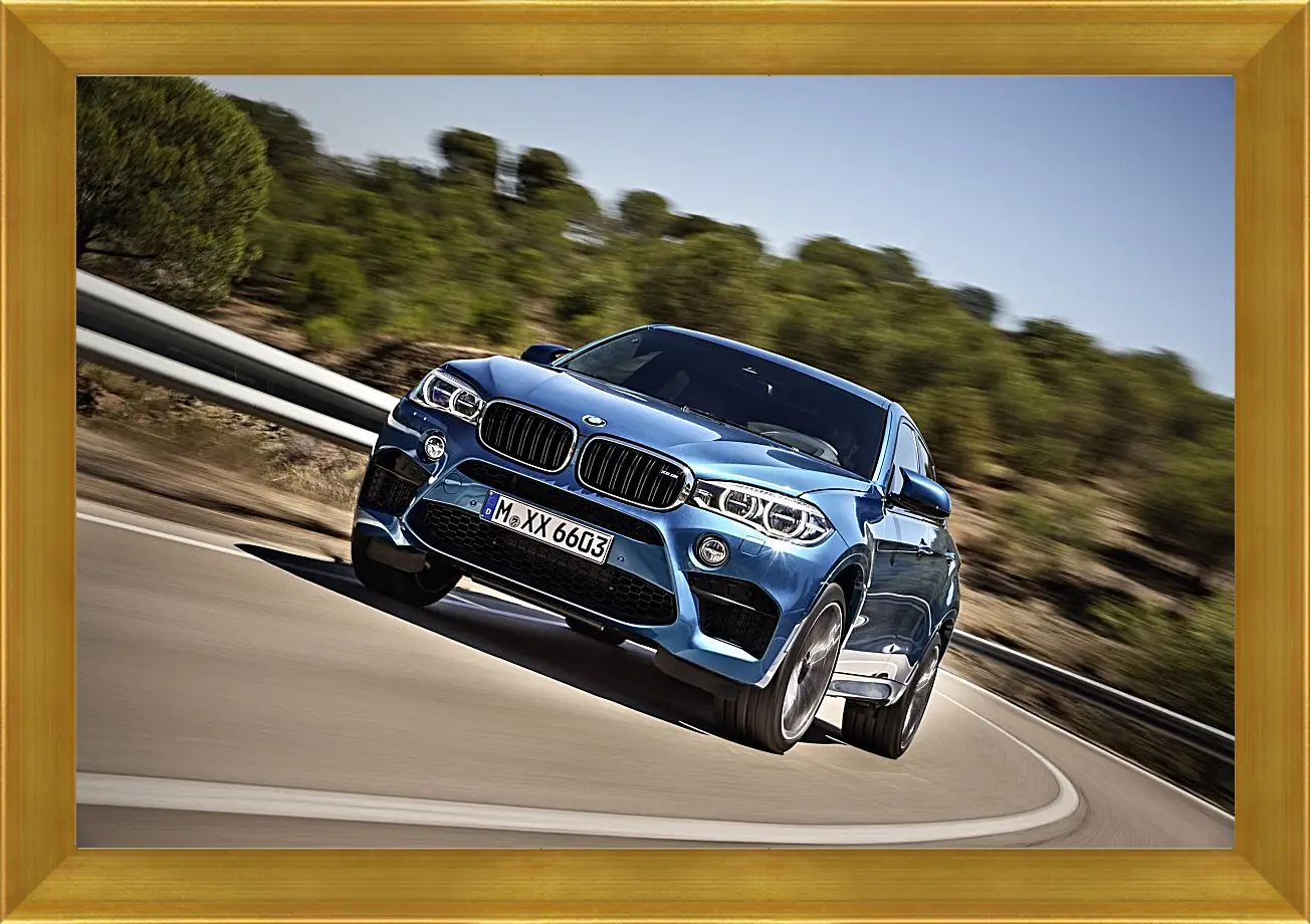 Картина в раме - BMW X6 M