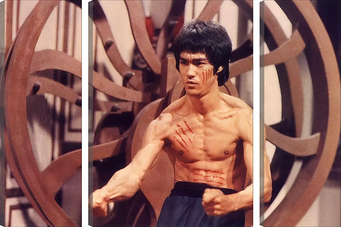 Модульная картина - Брюс Ли (Bruce Lee)