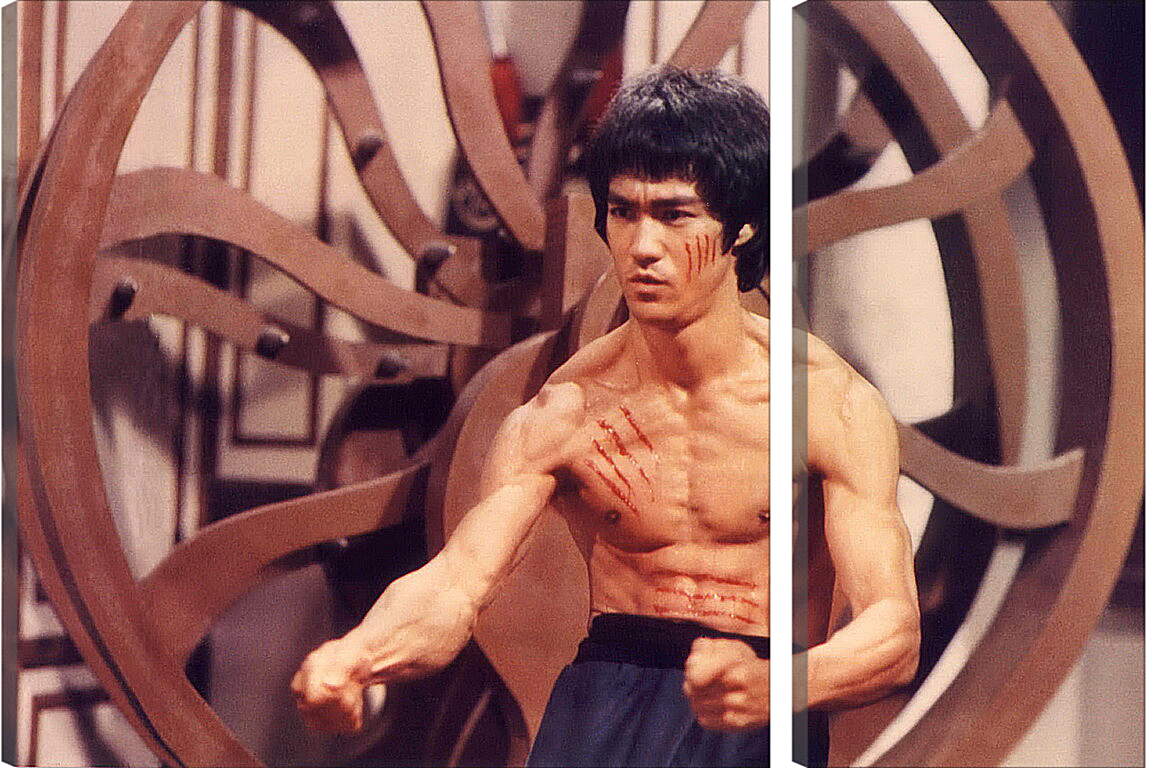 Модульная картина - Брюс Ли (Bruce Lee)