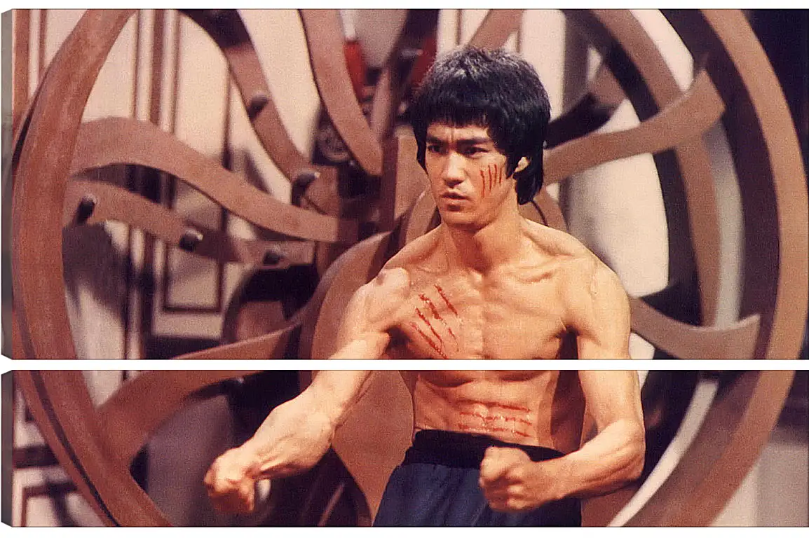 Модульная картина - Брюс Ли (Bruce Lee)