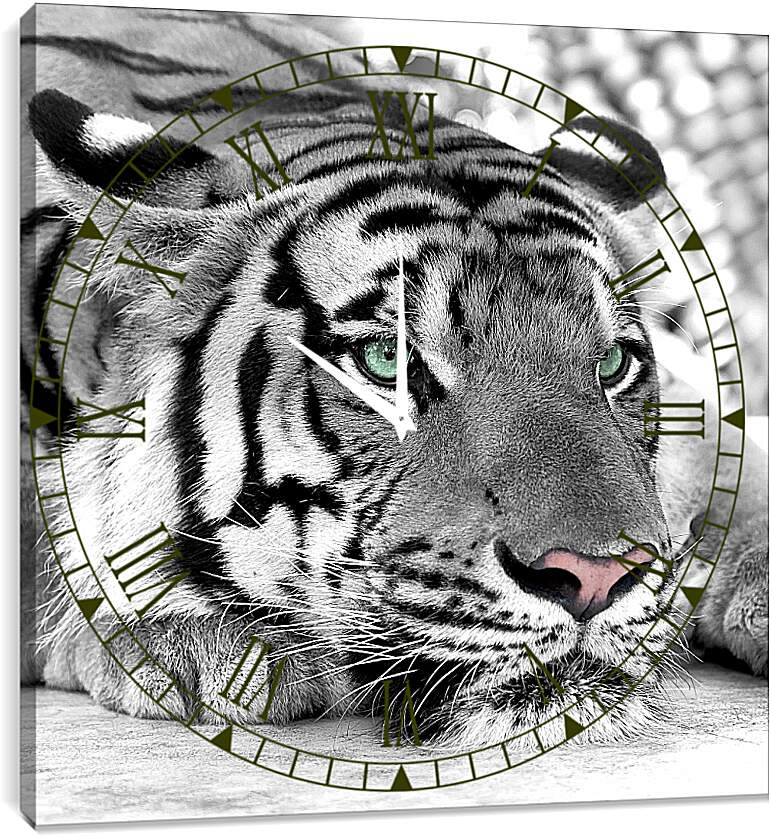 Часы картина - Зеленоглазый тигр