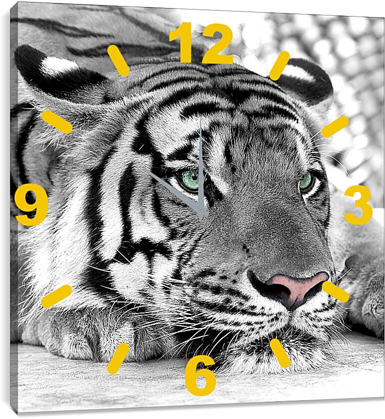 Часы картина - Зеленоглазый тигр