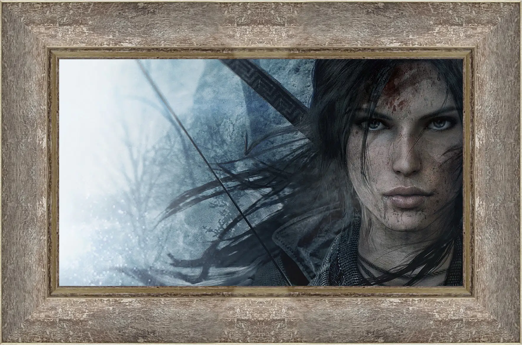 Картина в раме - lara croft, rise of the tomb raider, face