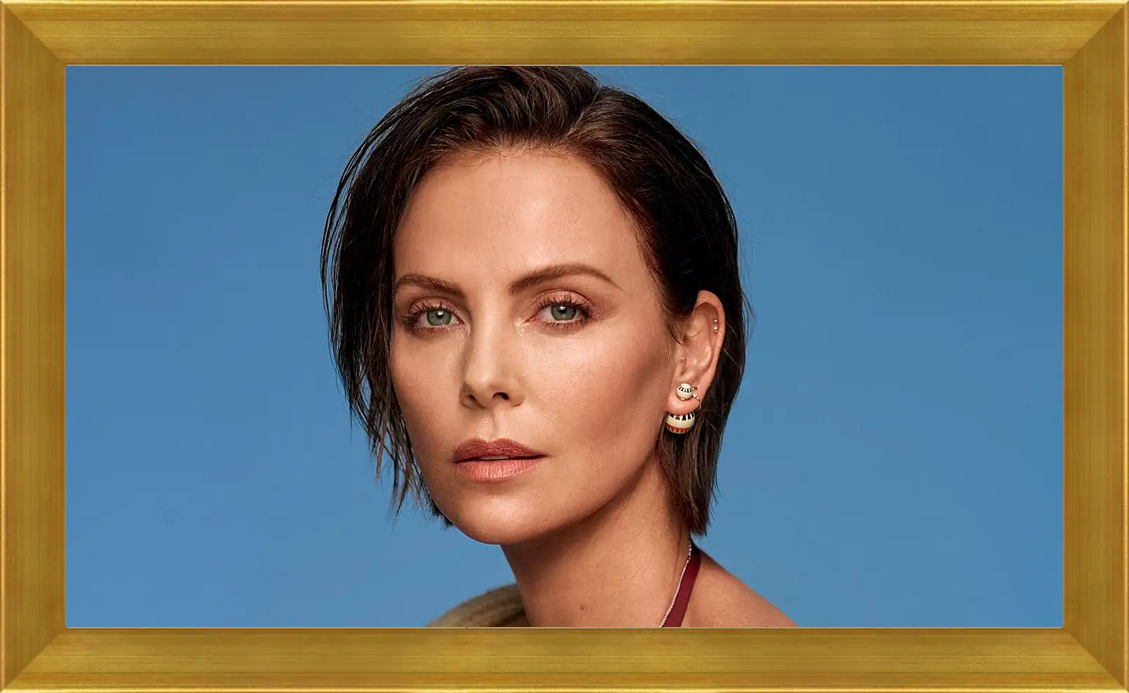 Картина в раме - Шарлиз Терон. Charlize Theron