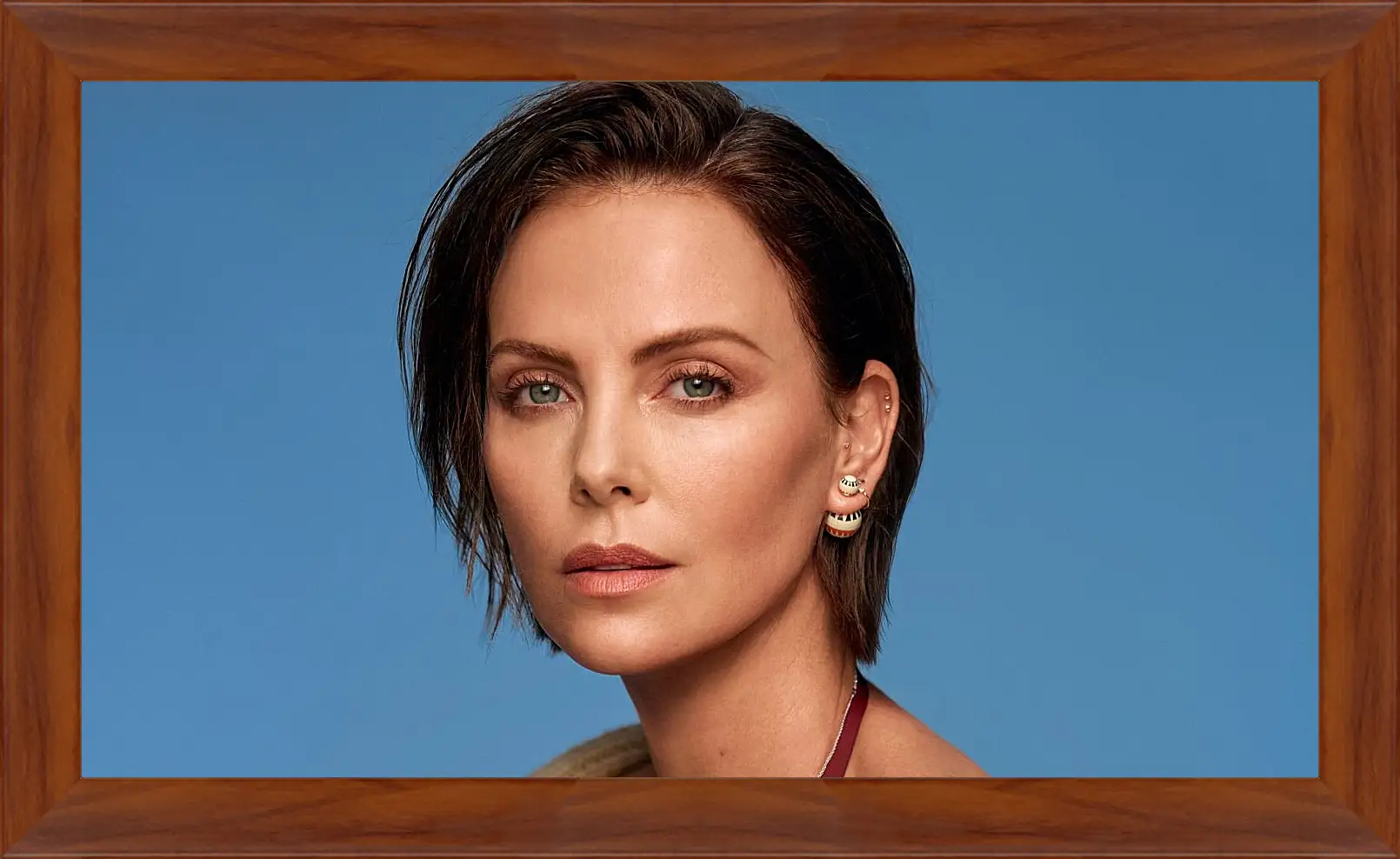 Картина в раме - Шарлиз Терон. Charlize Theron