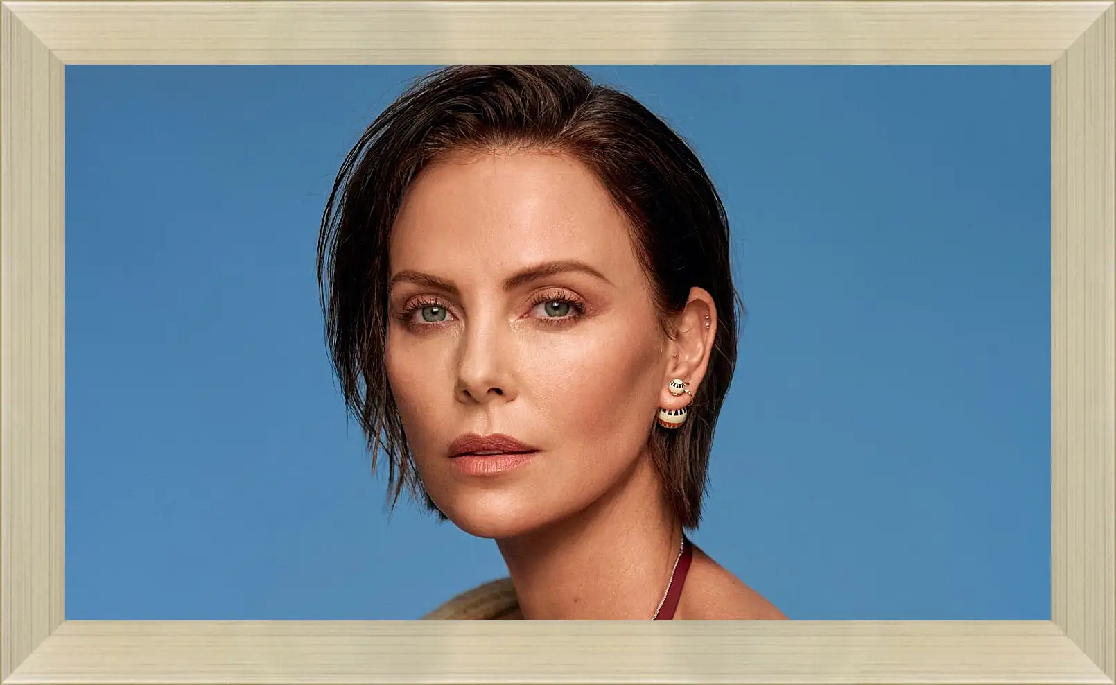 Картина в раме - Шарлиз Терон. Charlize Theron