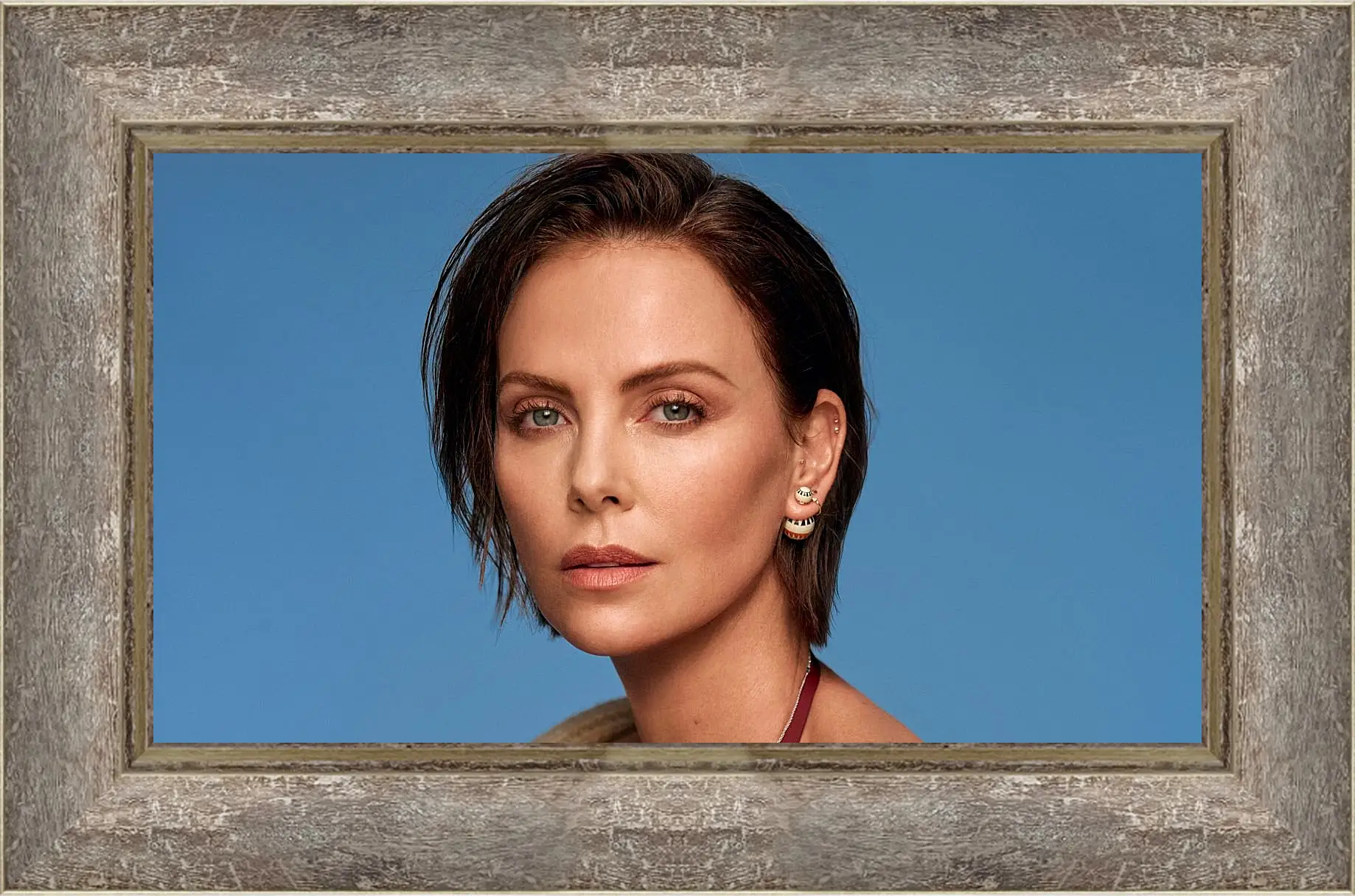 Картина в раме - Шарлиз Терон. Charlize Theron