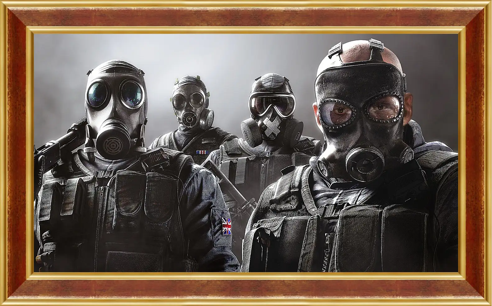 Картина в раме - rainbow six siege, ubisoft
