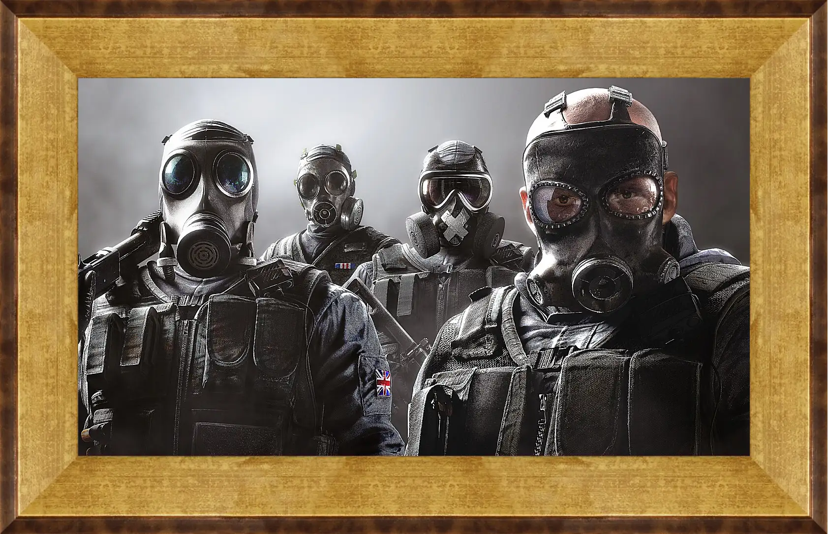 Картина в раме - rainbow six siege, ubisoft
