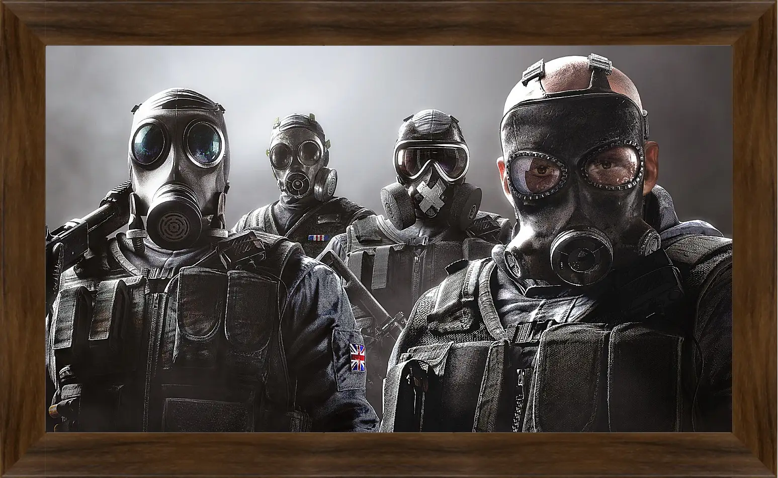 Картина в раме - rainbow six siege, ubisoft
