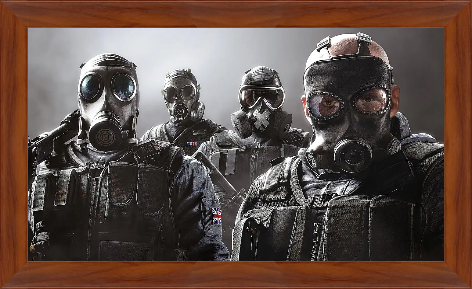 Картина в раме - rainbow six siege, ubisoft
