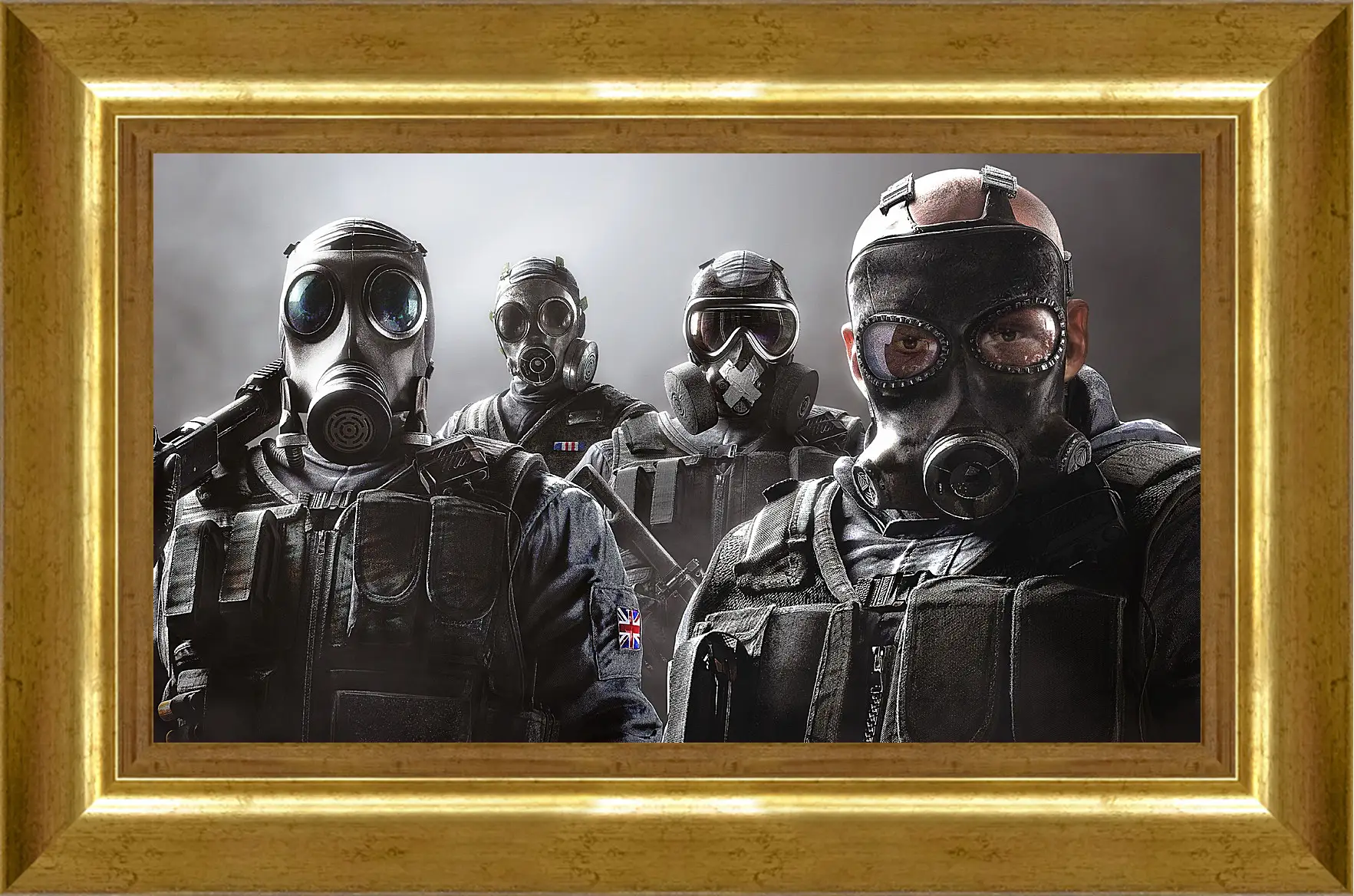 Картина в раме - rainbow six siege, ubisoft
