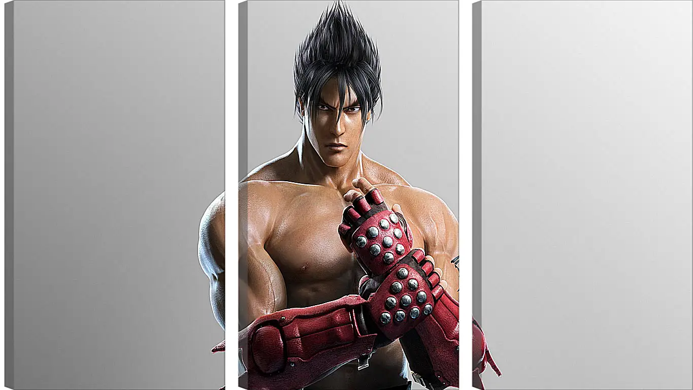 Модульная картина - jin kazama, tekken, game
