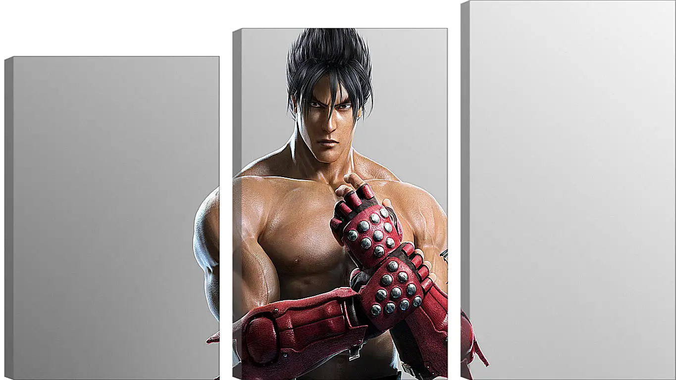 Модульная картина - jin kazama, tekken, game
