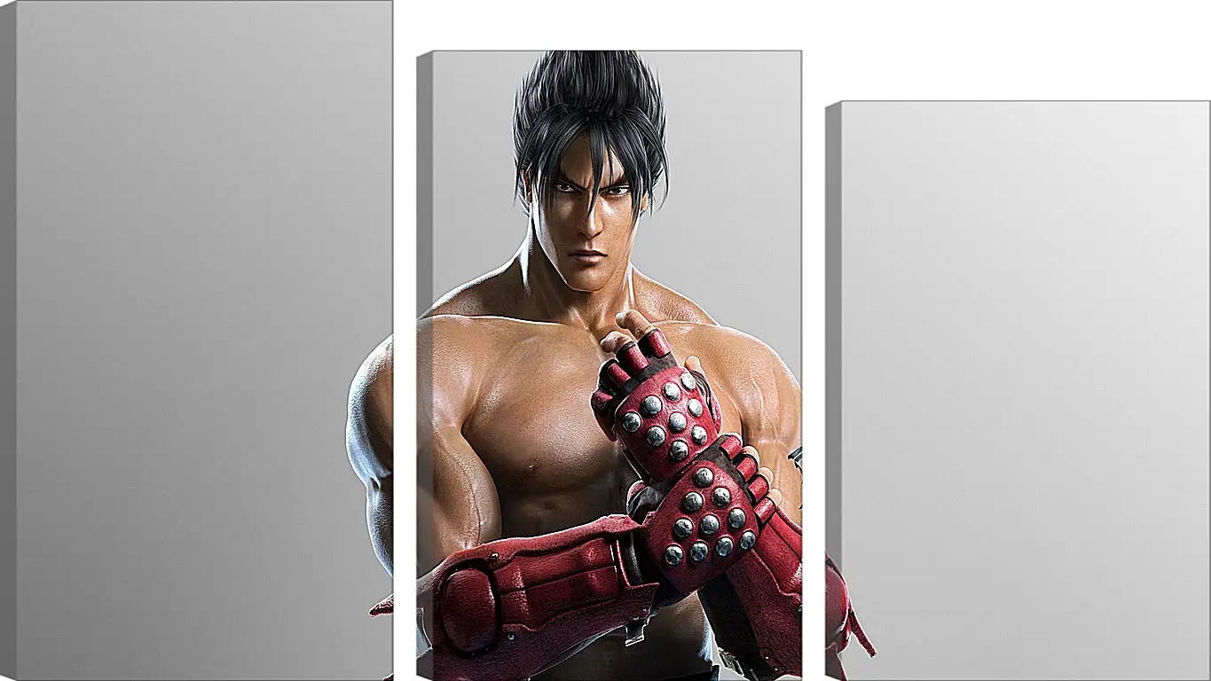 Модульная картина - jin kazama, tekken, game
