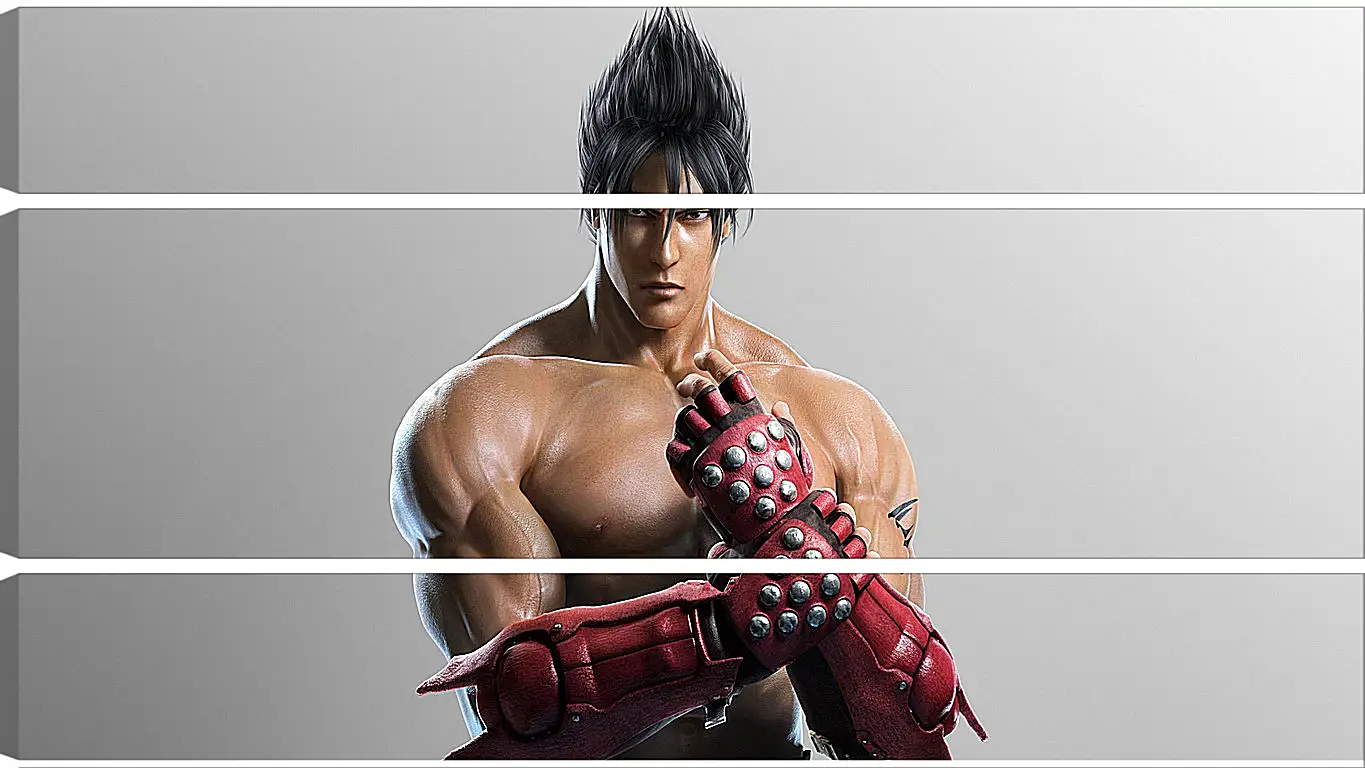 Модульная картина - jin kazama, tekken, game
