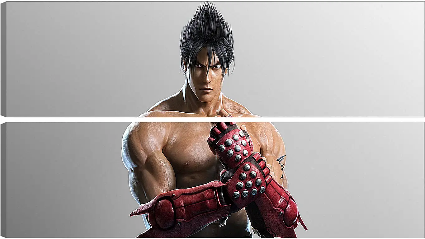 Модульная картина - jin kazama, tekken, game
