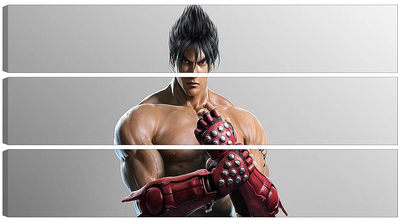 Модульная картина - jin kazama, tekken, game
