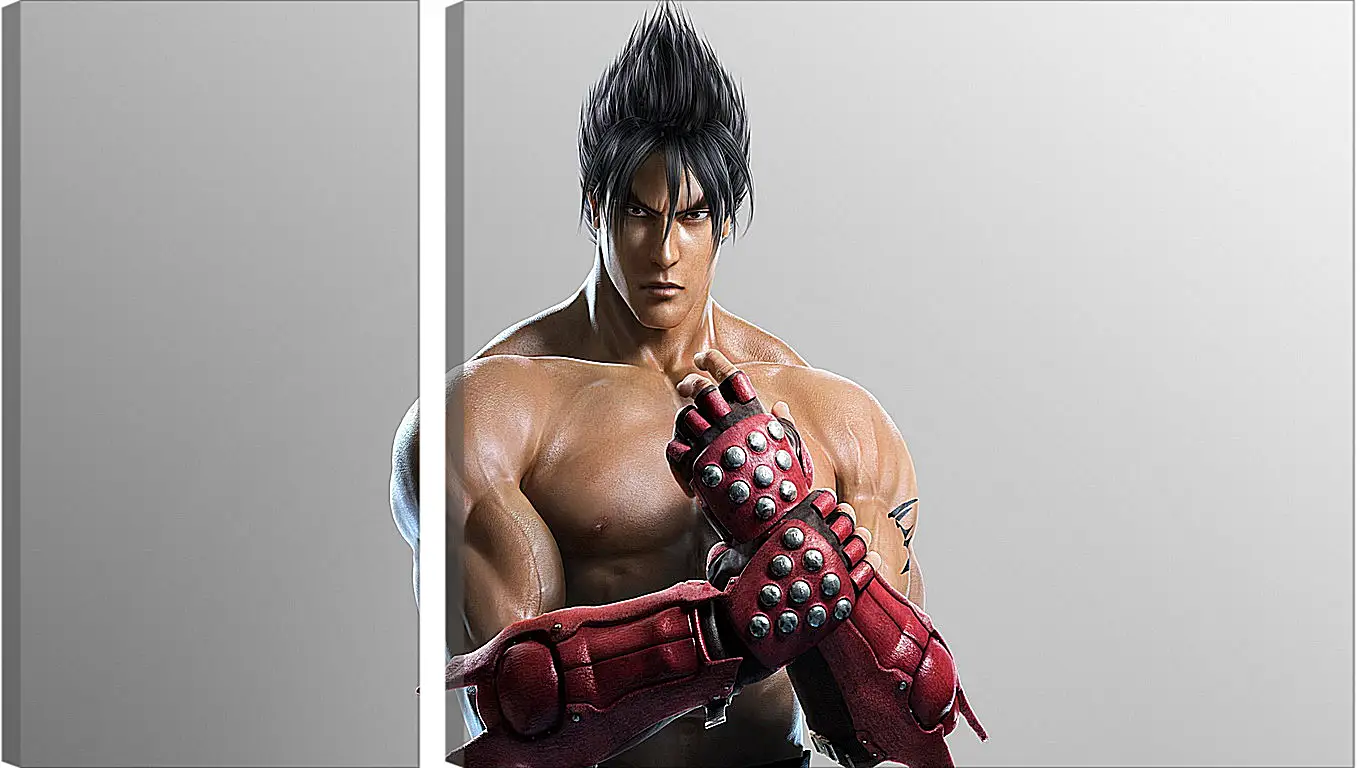 Модульная картина - jin kazama, tekken, game
