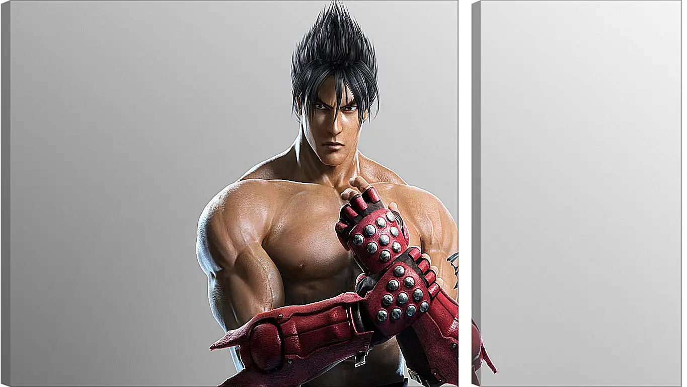 Модульная картина - jin kazama, tekken, game
