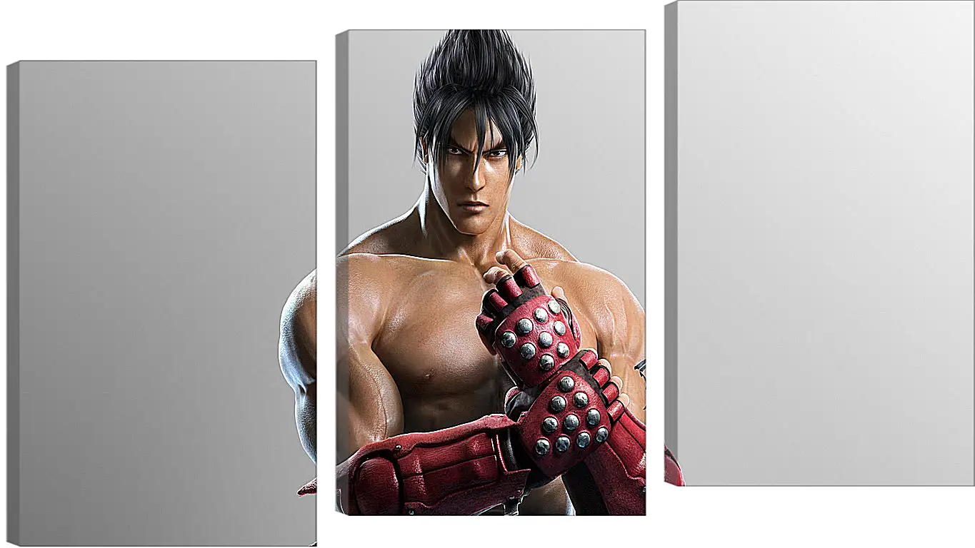 Модульная картина - jin kazama, tekken, game
