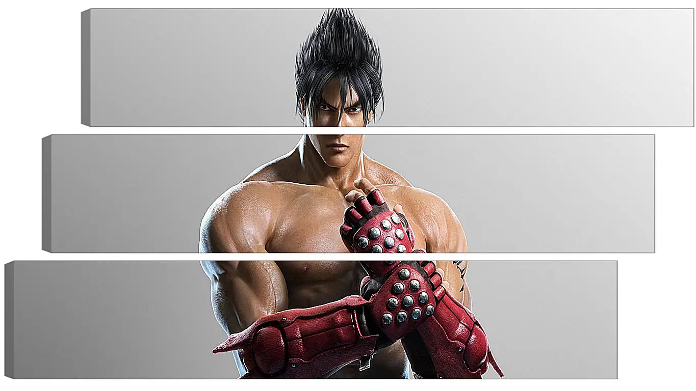 Модульная картина - jin kazama, tekken, game
