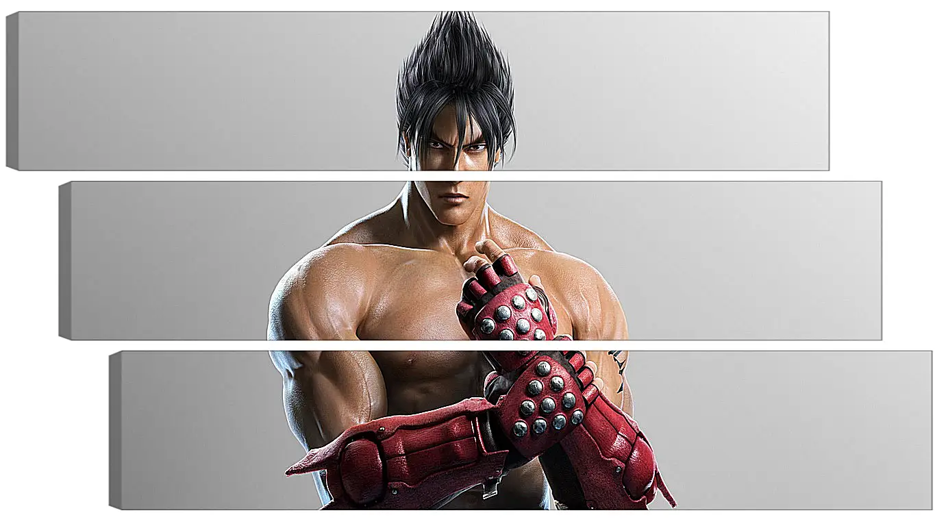 Модульная картина - jin kazama, tekken, game
