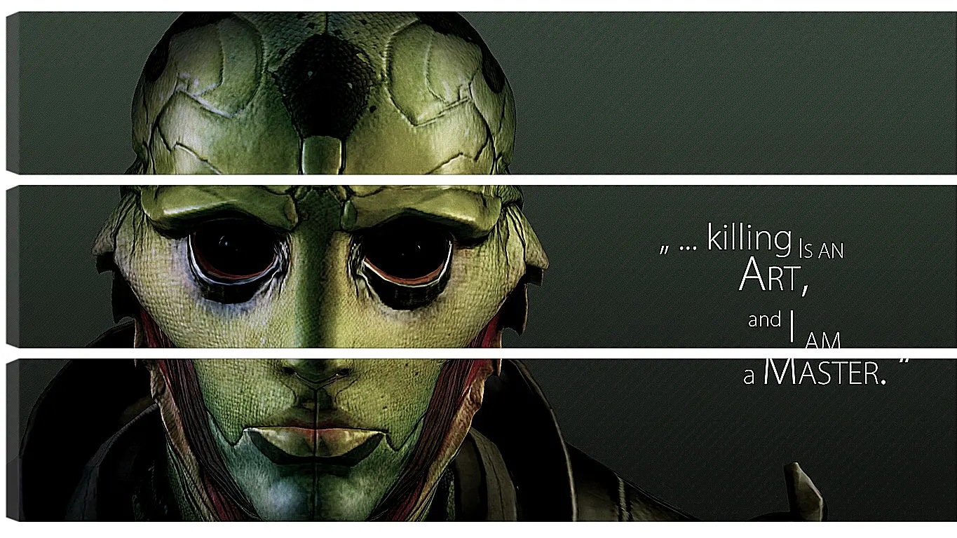 Модульная картина - mass effect 3, thane krios, quote
