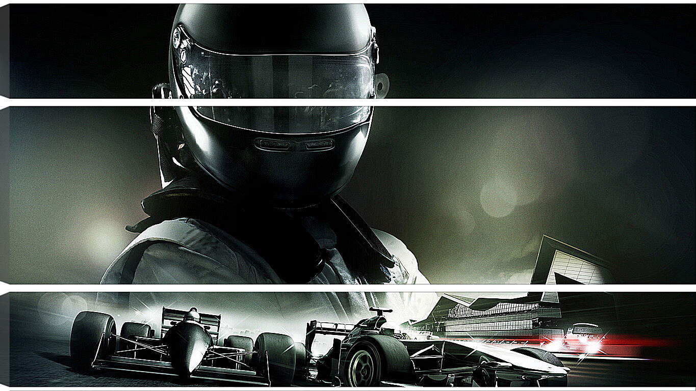 Модульная картина - f1 2013, race cars, car
