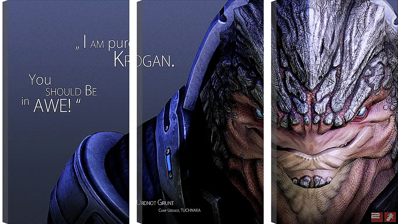 Модульная картина - mass effect, urdnot grunt, quote
