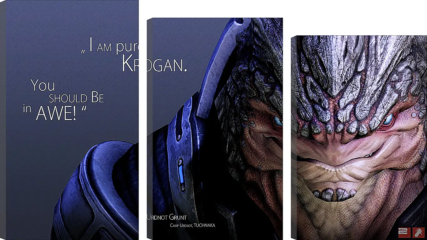 Модульная картина - mass effect, urdnot grunt, quote
