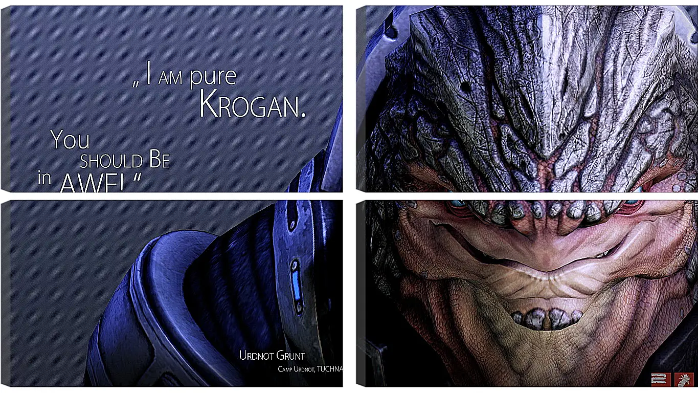 Модульная картина - mass effect, urdnot grunt, quote
