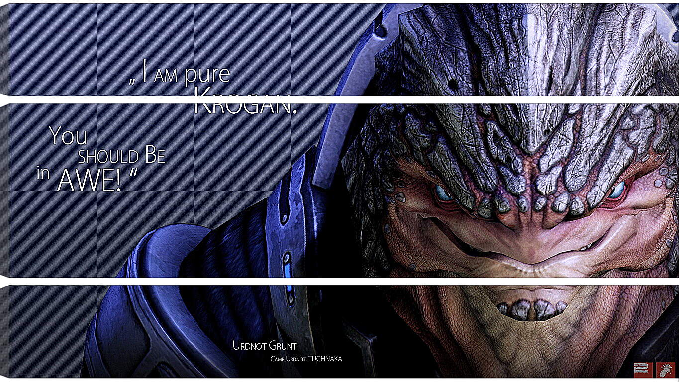 Модульная картина - mass effect, urdnot grunt, quote
