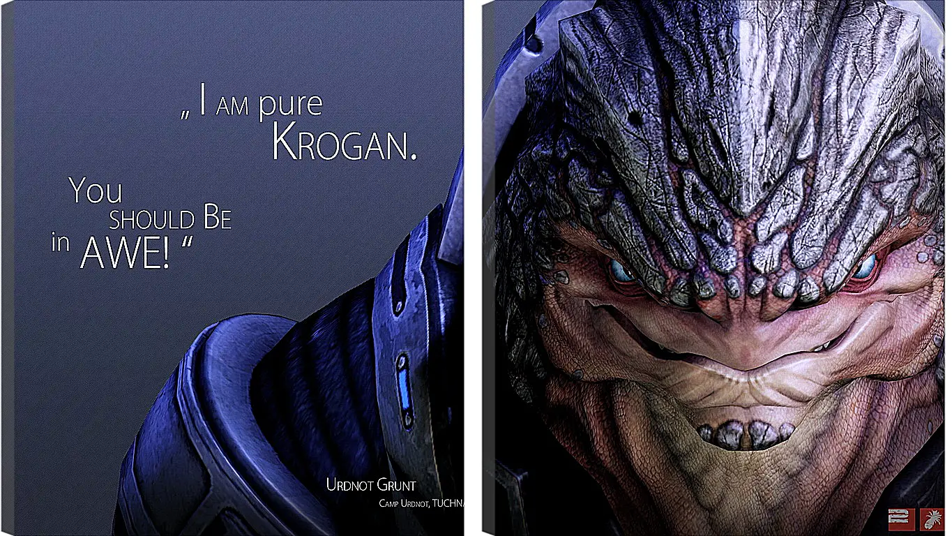 Модульная картина - mass effect, urdnot grunt, quote
